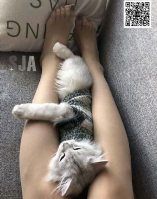 亚洲v天堂v手机在线播放_HD在线手机播放