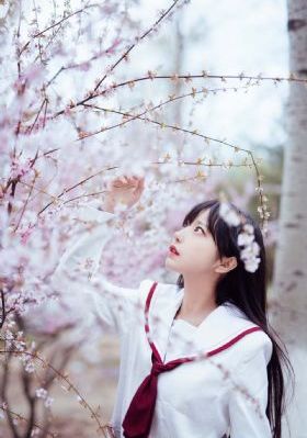 人妻系列久久综合_1080P免费全集观看